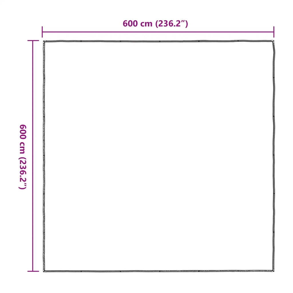 Copertura per Piante Trasparente 6 x 6 m PE CFW9970216