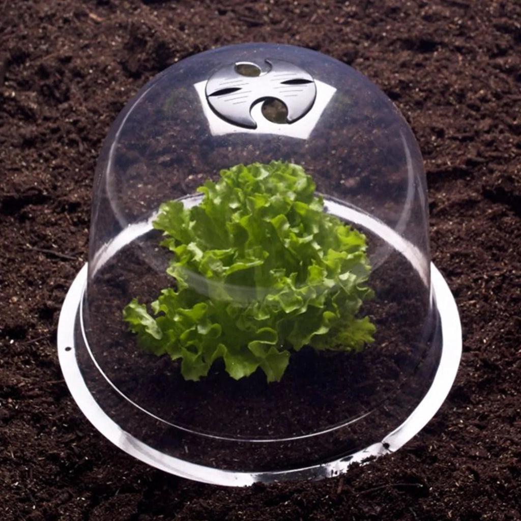 IDMarket - Serra protettiva per piante Salad bell x12