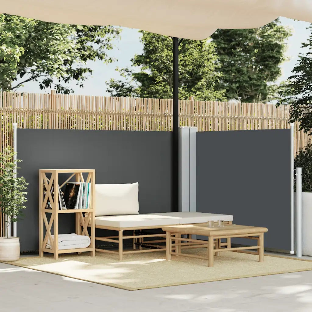Tenda da Sole | Tenda parasole Laterale Retrattile Antracite 100x600 cm