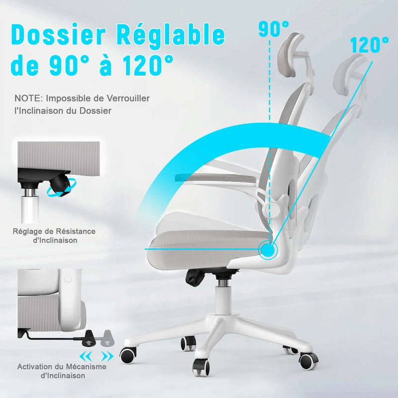 Sedia da ufficio - HAMLODY Poltrona ergonomica con braccioli 2D, altezza poggiatesta supporto lombare schienale regolabile grigio