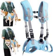 Carriera per cani, borsa da spalla per animali domestici, borsa di emergenza per cani anziani, borsa per portare cani con lesioni articolari.