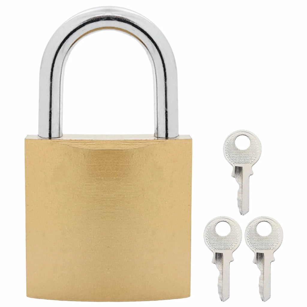 U Lock con Chiavi 2 pz Ottone Ferro CFW6199623