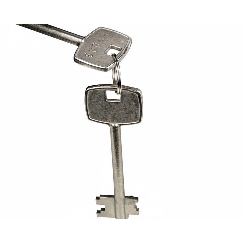 Genie Hand Cassaforte Meccanica Deposito da Armadio Grande 25x35x25 cm