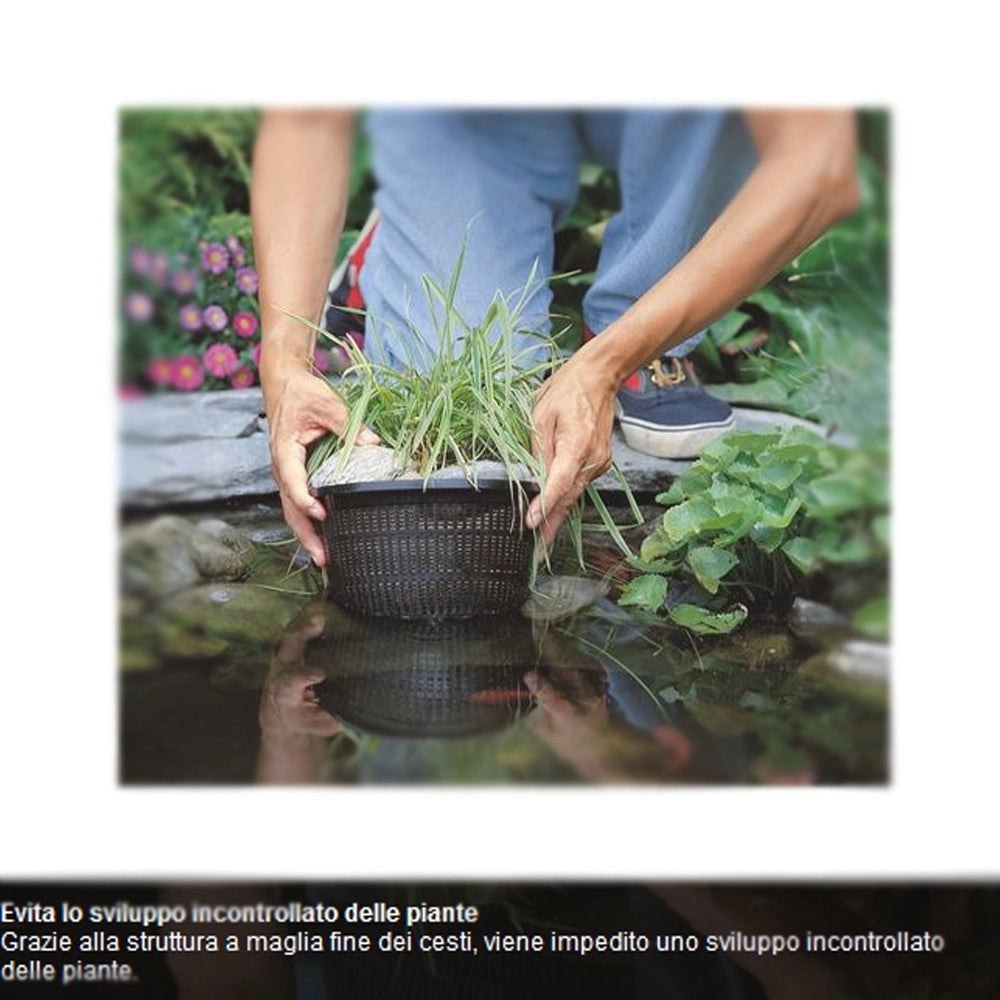 Multipack da 5 cesti per piante acquatiche rotondi dimensioni 21,5 cm cadauno