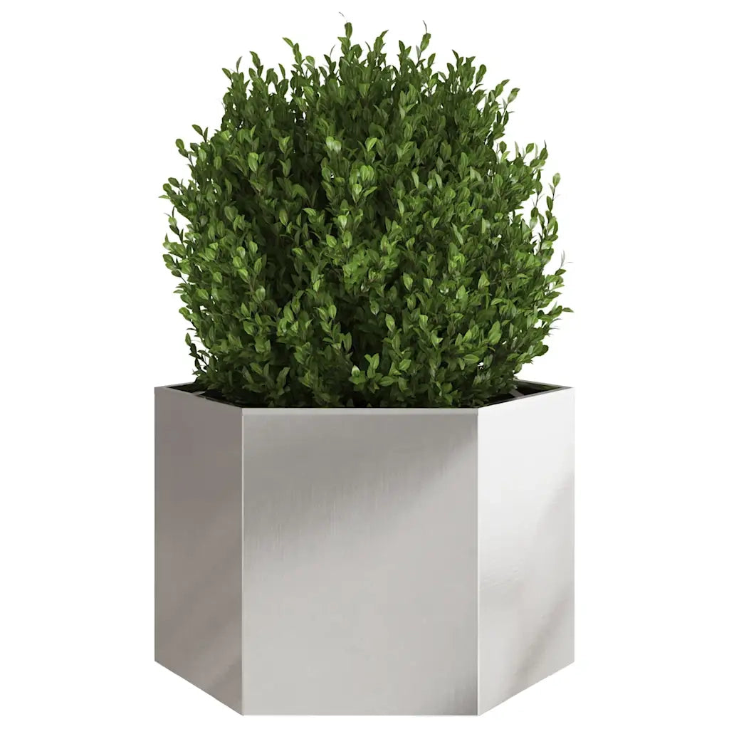 Fioriera da Giardino Esagono-Vaso da Esterno 69x60x45 cm in Acciaio Inox