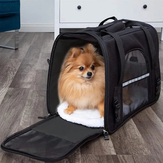 Scatola di trasporto per piccoli animali domestici, gatti, cani, conigli, 44L x 25P x 28H centimetri
