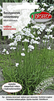 Erba cipollina all'aglio Allium tuberosum 1g