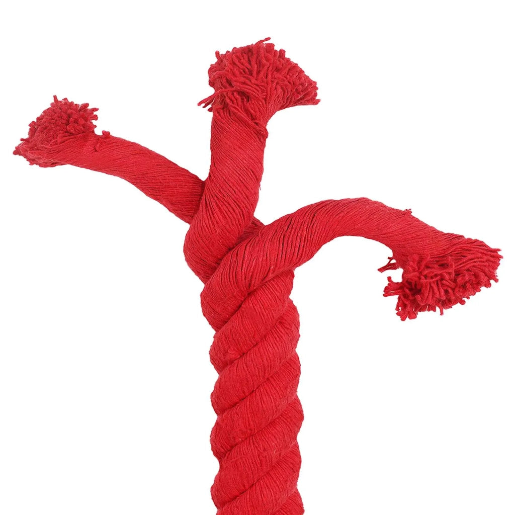 Corda Rosso 6 x 6 x 500 cm Cotone