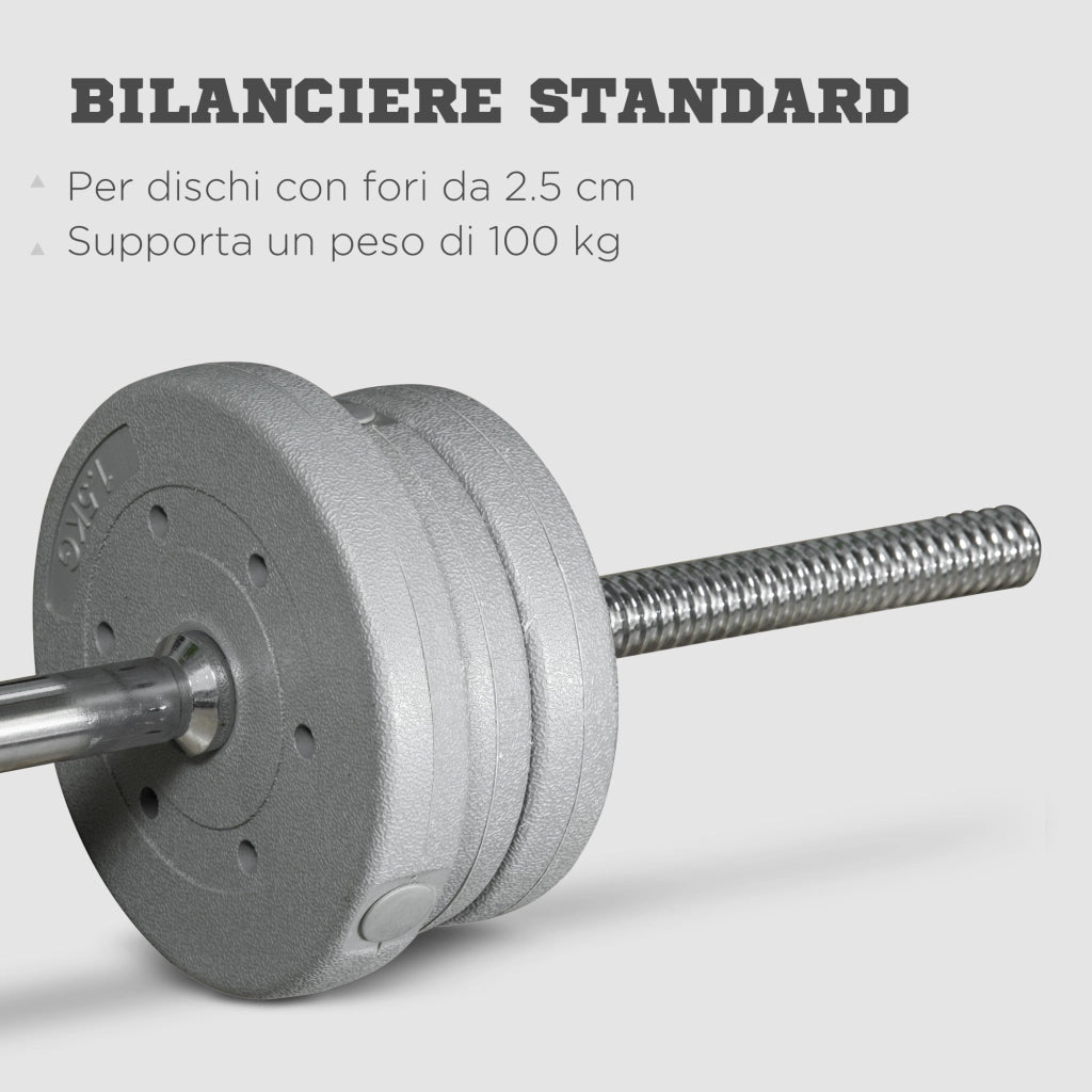 Easycomfort Bilanciere da Squat, Stacchi da Terra e Sollevamenti, per Pesi da Ø2.5 cm da 100kg mx, in Acciaio, Ø2.5x170 cm, Argento