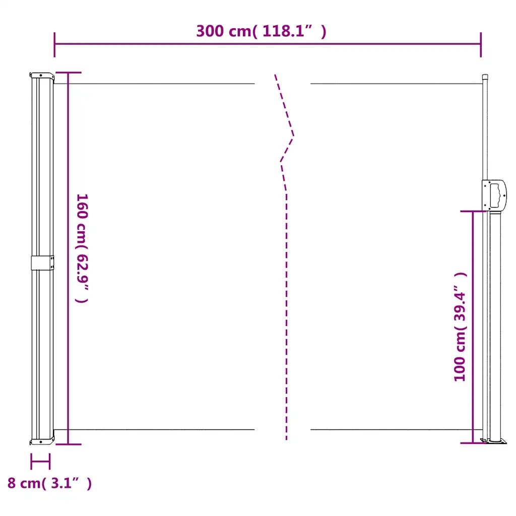 Tenda da Sole Laterale Retrattile Bianco 160x300 cm 4004316