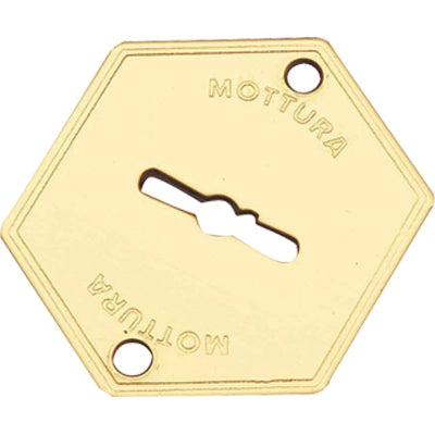 MOSTRINA PORTA BLINDATA 95223 MOTTURA - DM OTTONE MM 52X64- 5 pezzi