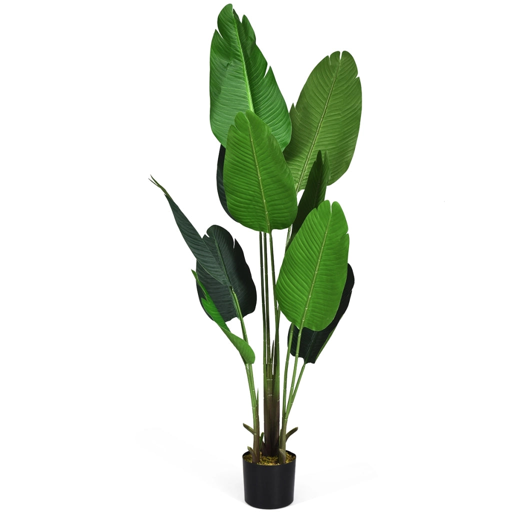 Palma tropicale artificiale con vaso nero, Finto bonsai da interno con 10 foglie realistiche, 160 cm