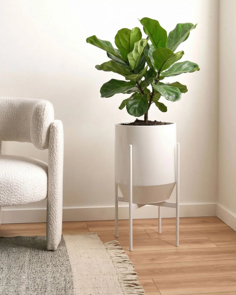 Fioriera in ferro bianco 33 x 33 x 62 cm Vaso da interno in metallo moderno in stile industriale