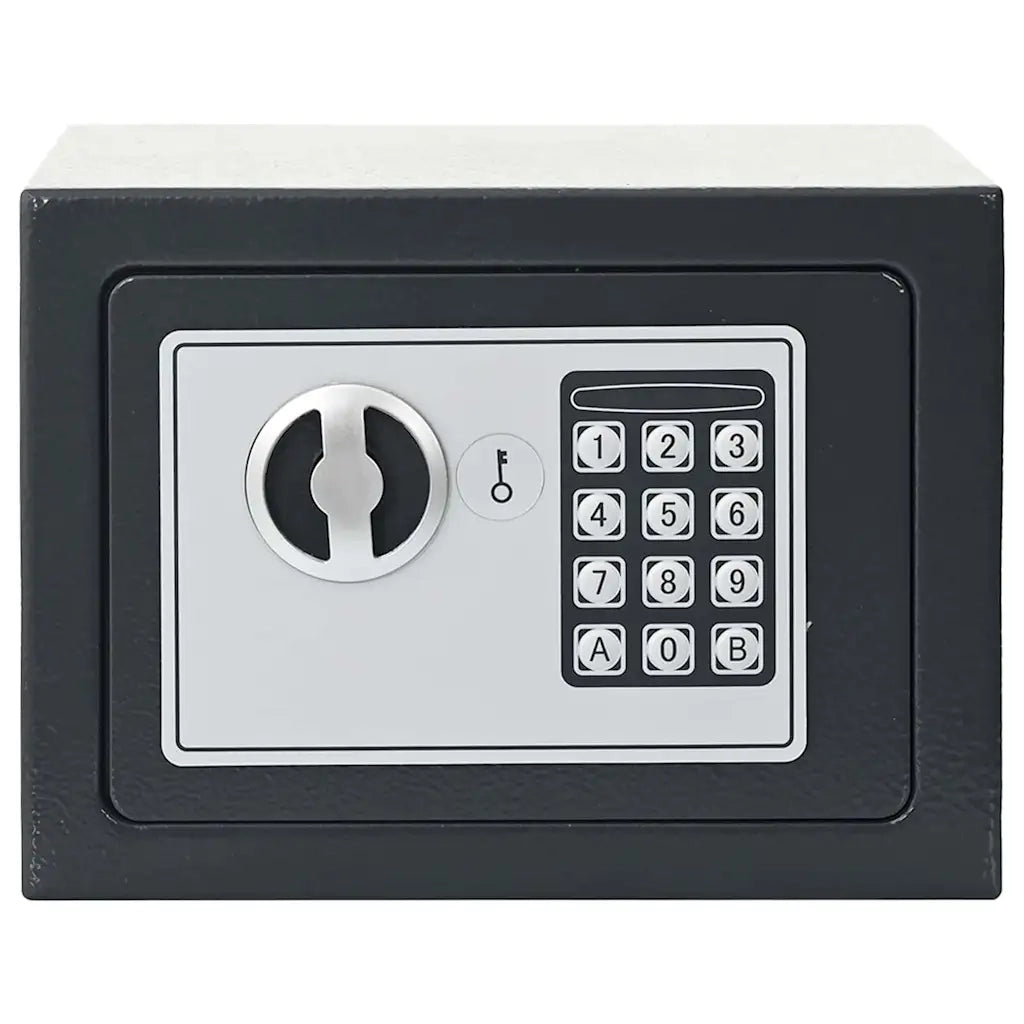 Cassetta di sicurezza digitale Grigio scuro 23 x 17 x 17 cm CFW5115413