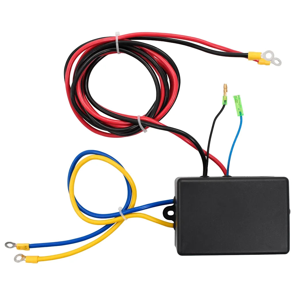 Verricello Elettrico 12 V 1360 kg con Piastra e Rullo Passacavo CFW6584697