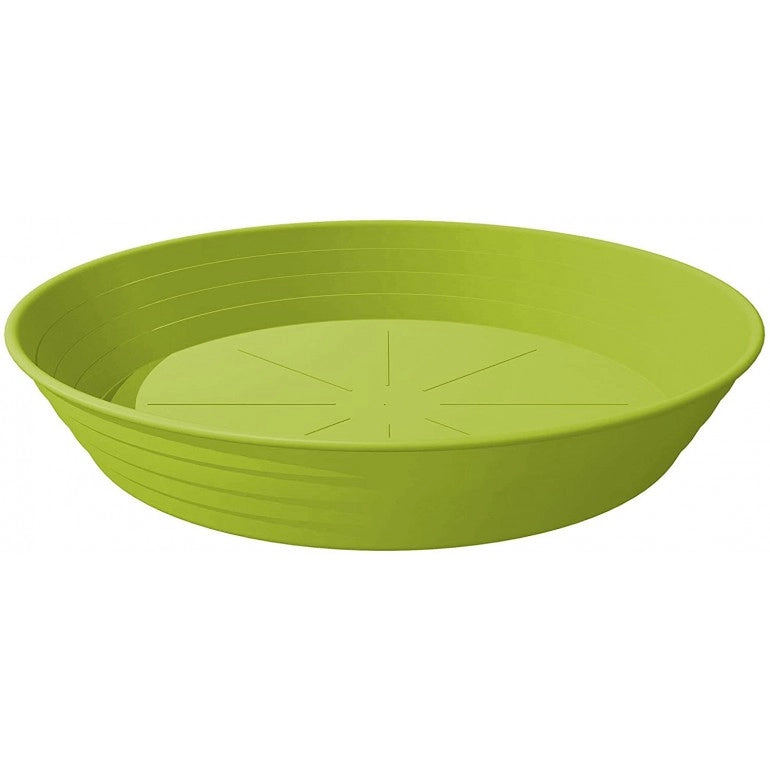 Sottovaso Primavera Ø 20 Cm