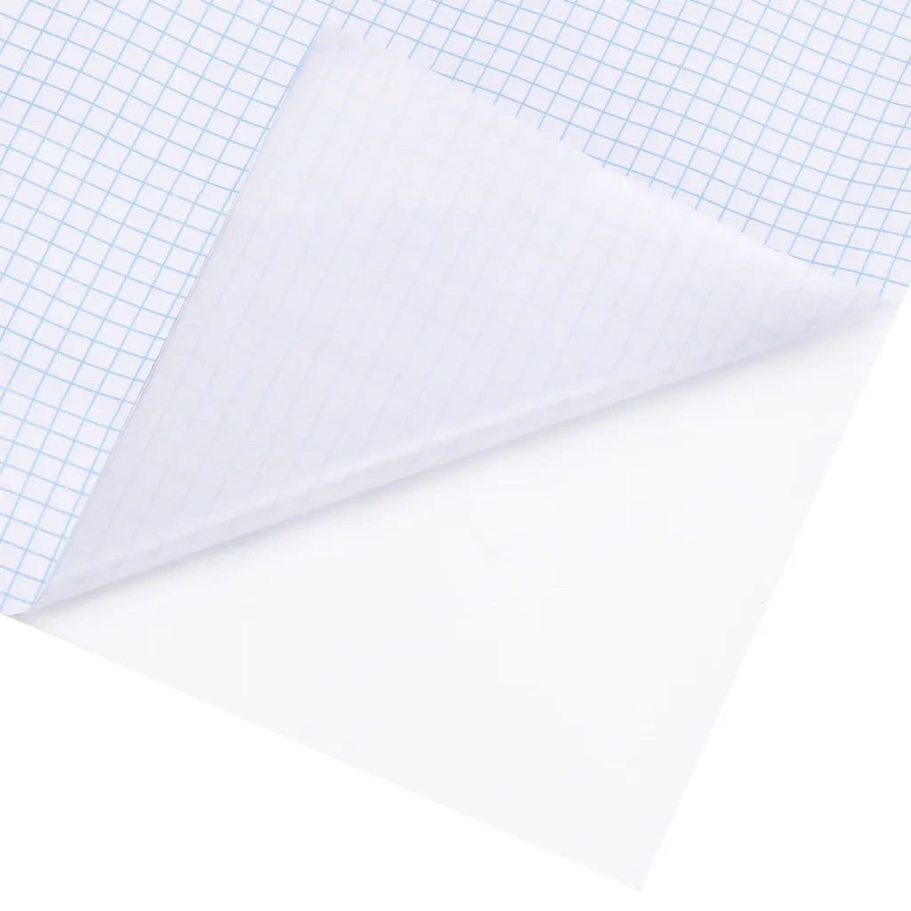 Pellicola per Finestra Smerigliata Bianca 45x2000 cm PVC 155742