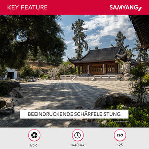 AF 12mm Obiettivo fotografico grandangolare con Lens-Station per Sony E - apertura F2.0, autofocus APS-C a focale fissa per fotocamere