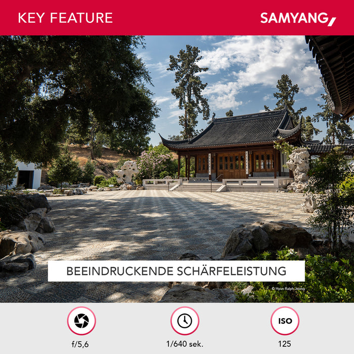 AF 12mm Obiettivo fotografico grandangolare con Lens-Station per Sony E - apertura F2.0, autofocus APS-C a focale fissa per fotocamere