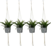 Decorazioni per piante - Lampade da parete boho decorative - 4 pezzi - 105 cm - Corda decorativa intrecciata in cotone - Sostituto di vaso per piante - Decorazioni per piante per interni ed esterni
