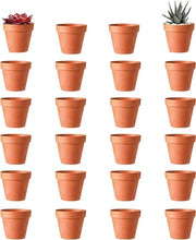 Ciotola per piante miniatura in terracotta da 24 pezzi, 24 x 3 cm, con foro di drenaggio, per decorazione interna ed esterna.
