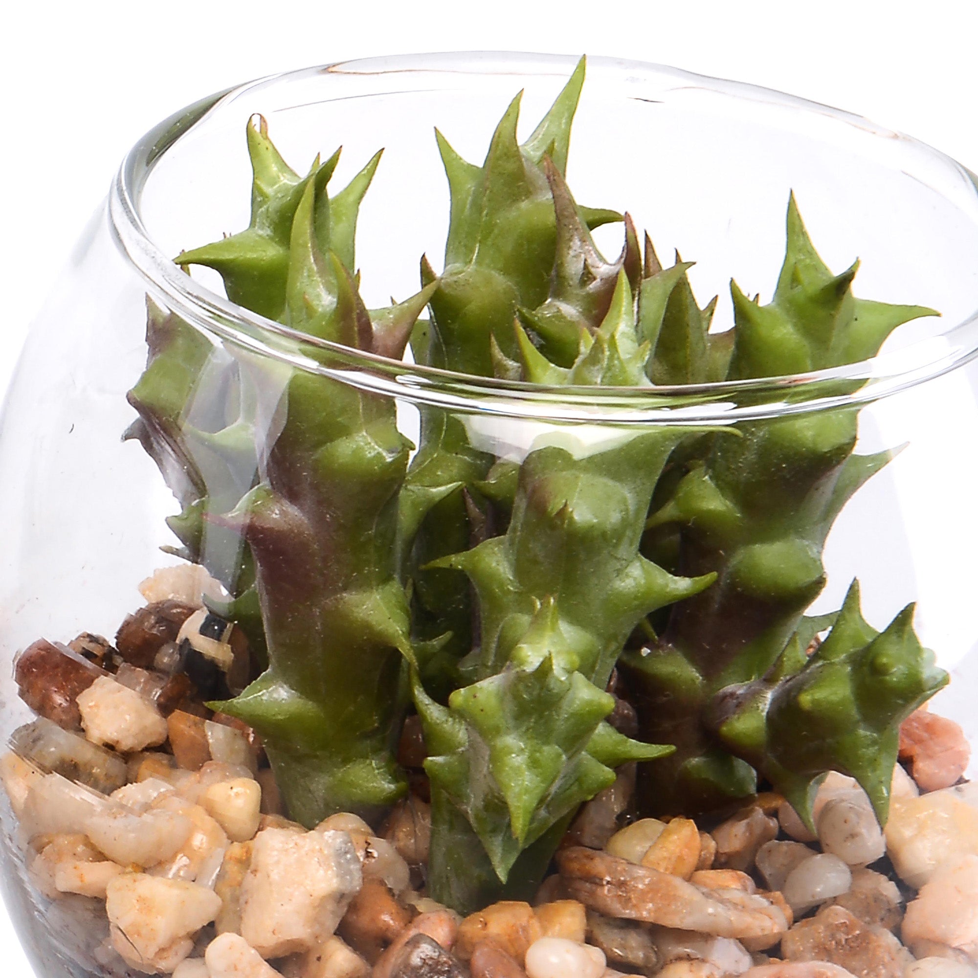 Set 3 Piante Artificiali Piante Grassa con Vasi H 75 cm