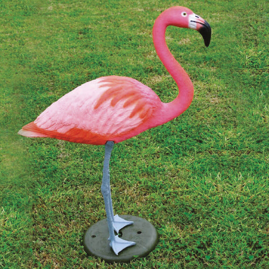 Fenicottero Rosa Decorativo H 80 cm per Laghetti da Giardino