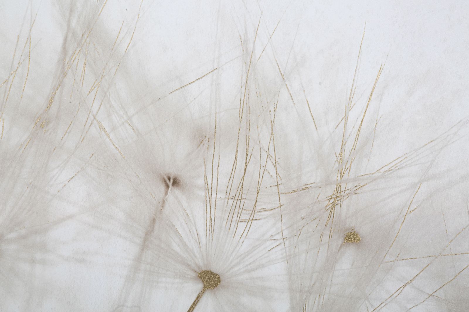 Stampa Dipinta Tin 80x3x120 cm in Legno e Tessuto