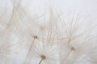 Stampa Dipinta Tin 80x3x120 cm in Legno e Tessuto