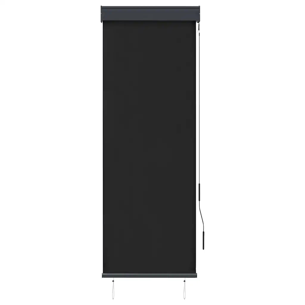 Tenda a rullo | Tenda avvolgibile per Esterni 60x250 cm Antracite