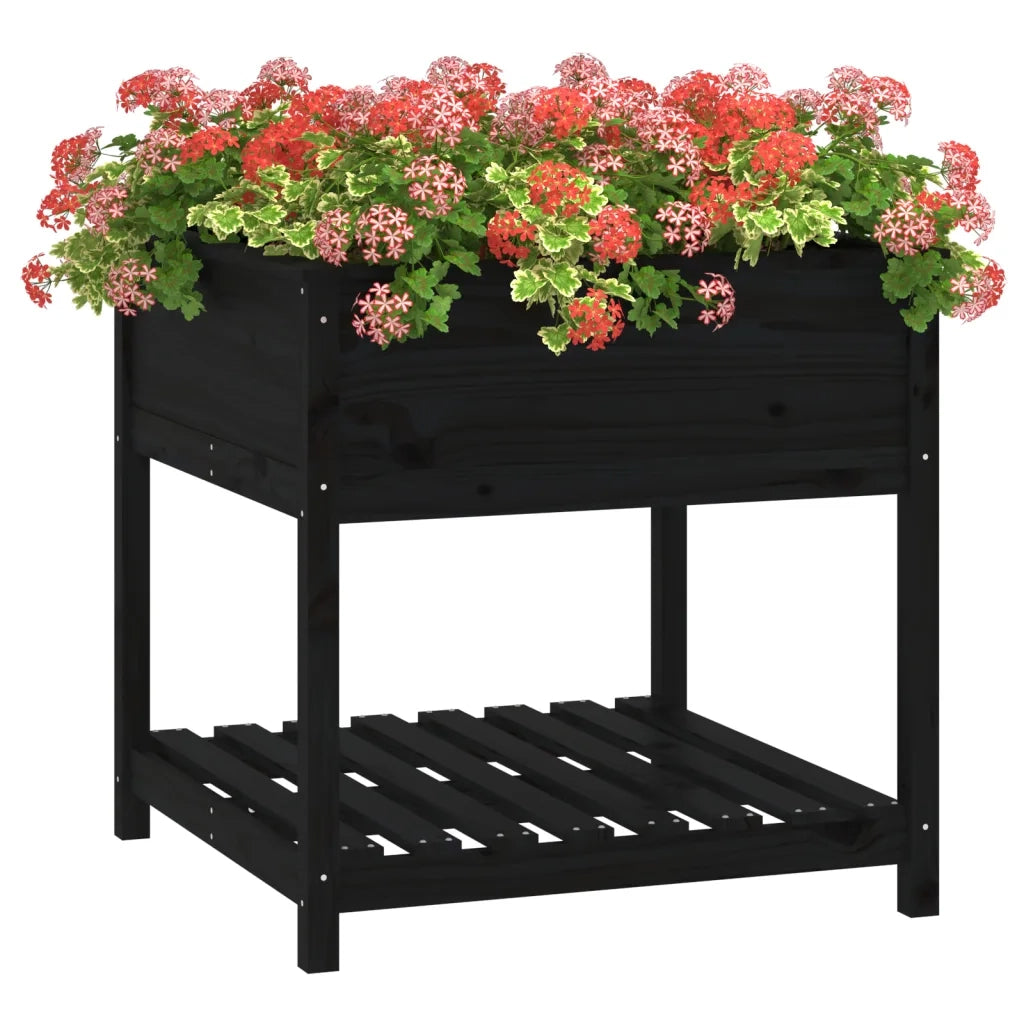 Fioriera con Mensola Nera 82,5x82,5x81cm Legno Massello di Pino 823798
