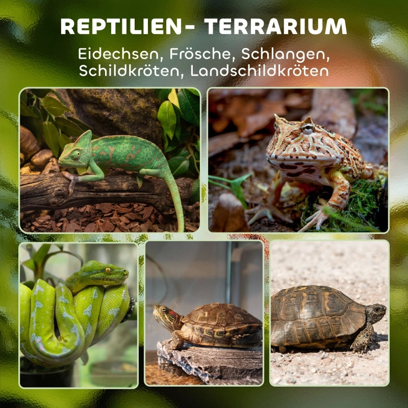 Terrario in vetro per rettili, base rialzata e impermeabile, chiusura a pulsante.