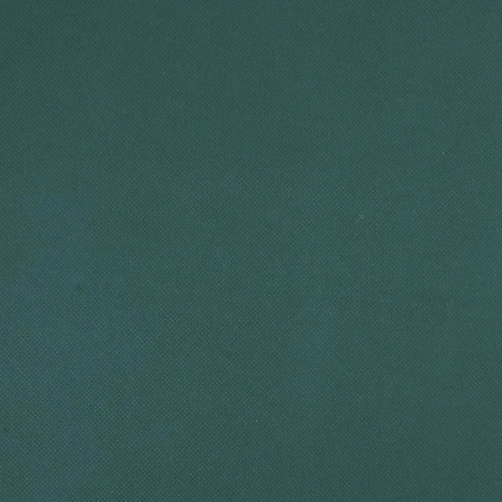 Copertura per Piante 2 Rotoli 70 g/m² 50x1,6 m 3203514