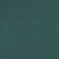 Copertura per Piante 2 Rotoli 70 g/m² 50x1,6 m 3203514