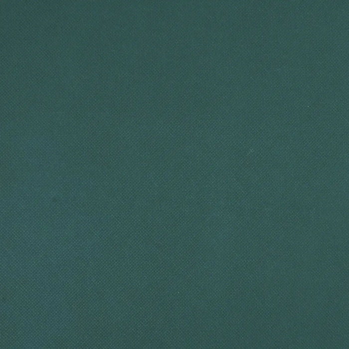 Copertura per Piante 2 Rotoli 70 g/m² 50x1,6 m 3203514