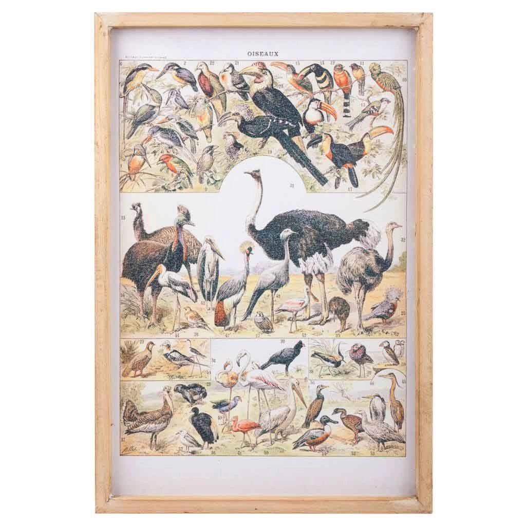 Quadro su stoffa stampata con telaio in legno 40x60x2h