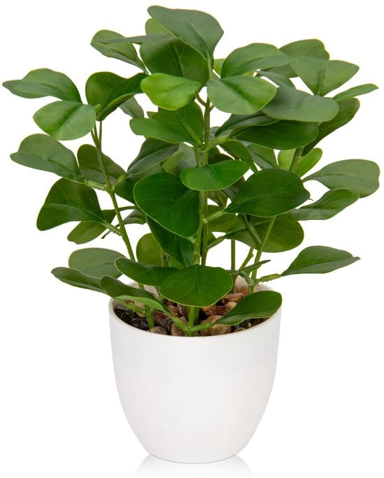 Pianta di Ficus Artificiale Piccola per Decorazione - Ideale per Salotto e Bagno