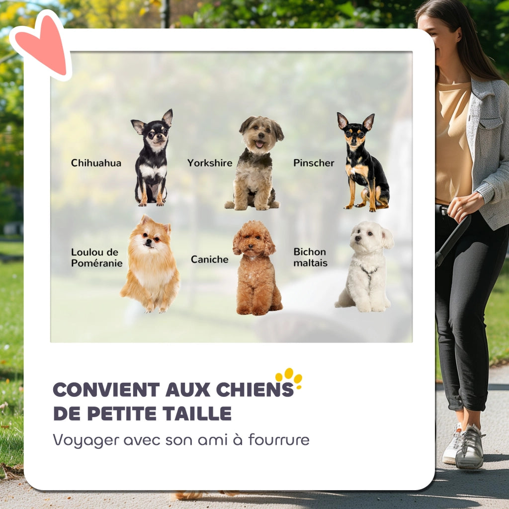 Passeggino per Cane ¨C Zephmum ¨C Grigio Chiaro Pieghevole Leggero 4 Ruote