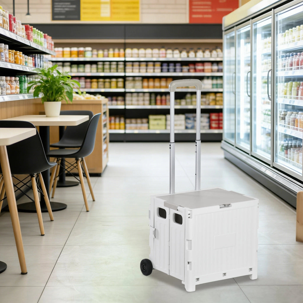Carrello Spesa 2 Ruote ¨C Xylo ¨C Manico Regolabile 32L 41,5x32,5x85cm Bianco