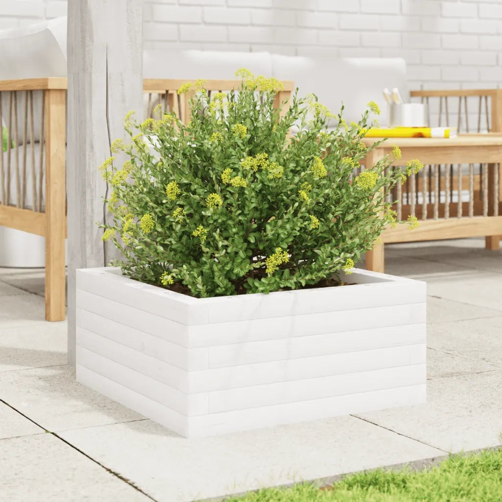 Fioriera da Giardino-Vaso da Esterno Bianca 50x50x23 cm Legno Massello di Pino