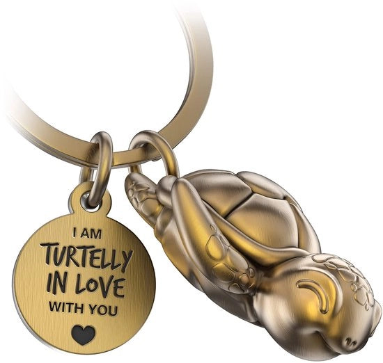 Scheda di Accesso per Chiave Snappy con Cuore e Gravatura - Scheda di Accesso Cuddosa per Chiave - Portafortuna con Scheda di Accesso a Forma di Tartaruga come Regalo per il Partner - Tartaruga innamorata