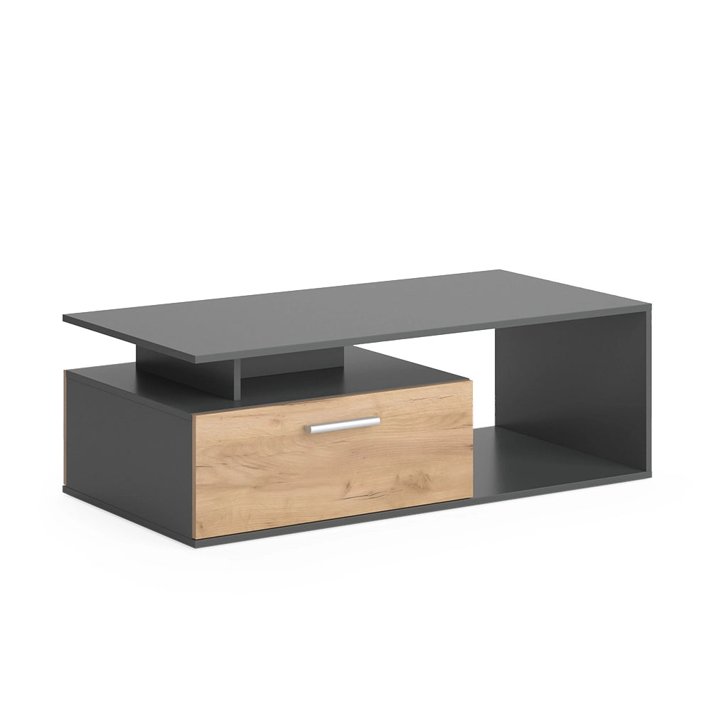 Vicco Tavolino da salotto Antracite/quercia dorata 118 x 59 cm