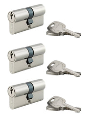 Set di 3 cilindri europei STD 30 x 30 mm a chiave uguale, nichelati, 9 chiavi – THIRARD