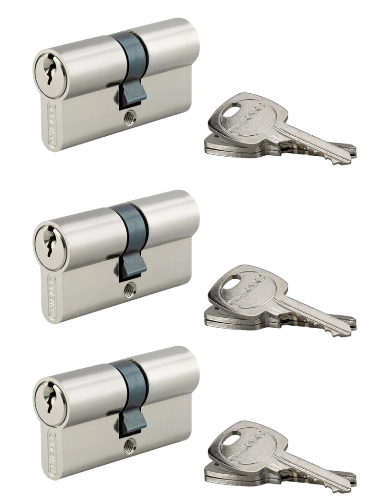 Set di 3 cilindri europei STD 30 x 30 mm a chiave uguale, nichelati, 9 chiavi – THIRARD