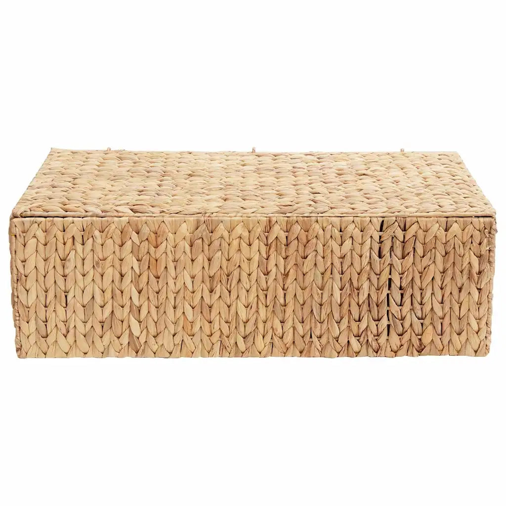 Scatola di Stoccaggio Naturale 60 x 38 x 20 cm Giacinto d'acqua 42020145