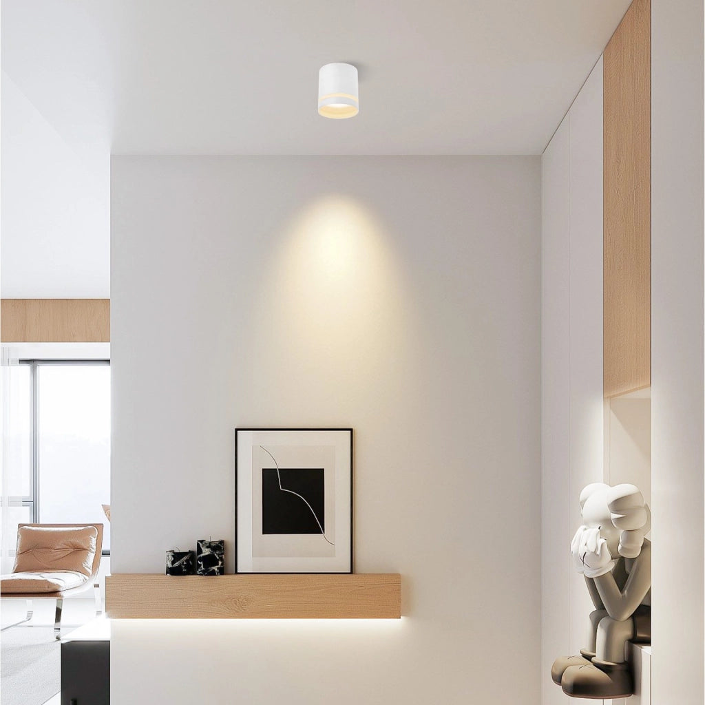 ZMH Faretto da soffitto LED bianchi rotondi da superficie 5W acrilico piccoli