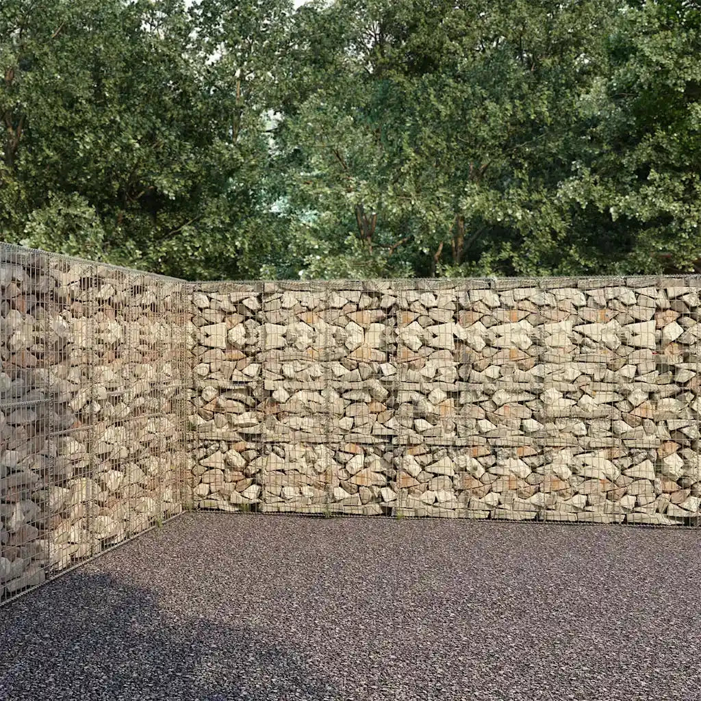 Gabbione con Copertura in Acciaio Zincato 600x30x200 cm 144915