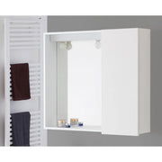 Specchiera Bagno Contenitore 1 Anta Feridras