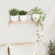 Rete da Parete 62x10x12,5 cm in Legno Massello Noce