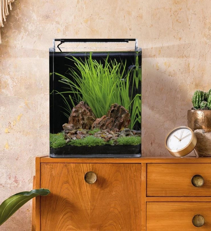 Dennerle Nano Cube Complete 30L - Mini acquario panoramico cm30x30x35h con filtro, substrato e LED